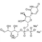 -Nikotinamid Adenin Dinükleotid Fosfat, İndirgenmiş Form, Tetrasodyum Tuzu ( -NADPH);CAS NO.: 2646-71-1