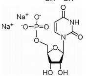 Üridin 5'- Monofosfat Disodyum Tuzu
